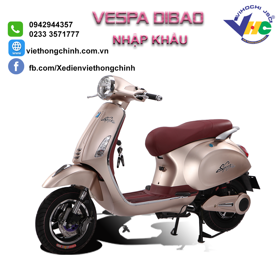 Top nhiều hơn 98 vespa nhập mới nhất 38 XE ĐIỆN VESPA DIBAO Nhập Khẩu Việt Hồng Chinh